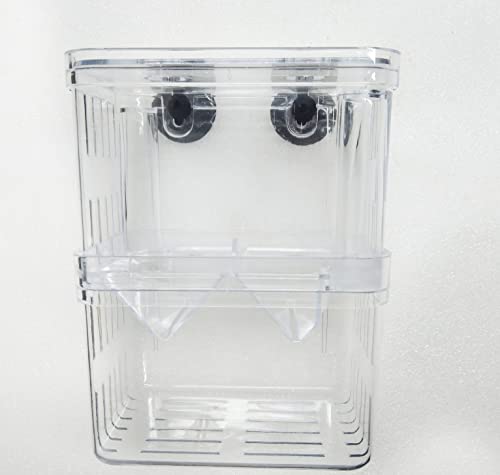 Image of Sansefero Betta Tank (Breeding Box)