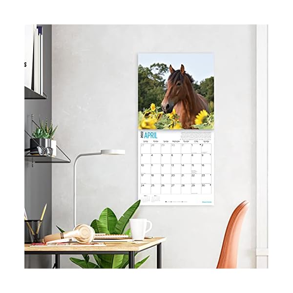 Bright Day 2022 Rettungspferde Wandkalender 30,5 x 30,5 cm, niedliche Bauernhoftiere Kalender für eine Sache – Bild 7