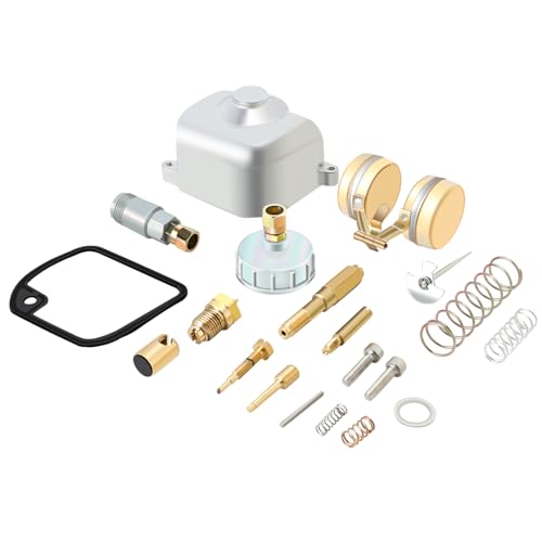 BIUGERCN Simson Vergaser Reparatursatz Dichtung Düsen Vergaser 16N1-11 für Simson S50 S51 S53 S70 SR50 SR80 KR51 Schwalbe S70