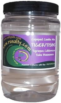Copepods 12,000+ Pods Tisbe + Tigger Pods Mix. Live Fish Food for Mandarrin, Seahorse. (12,000 Pods 64oz)