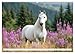 Horses in the Free Nature (Wall Calendar 2026 DIN A2 Landscape), CALVENDO Monthly Calendar: Horse Calendar with Noble Horses in the Free Nature - Frisians, Arabs, etc. and Horses (CALVENDO Animals)