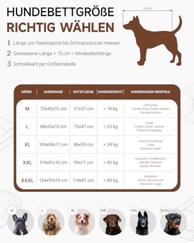 KSIIA Orthopädisches Hundebett Mittelgroße Hunde, Hundekorb Bezug abnehmbar waschbar, Hundesofa Wasserdicht mit Rand, rutschfeste Unterseite, Grau, 73x45x15cm