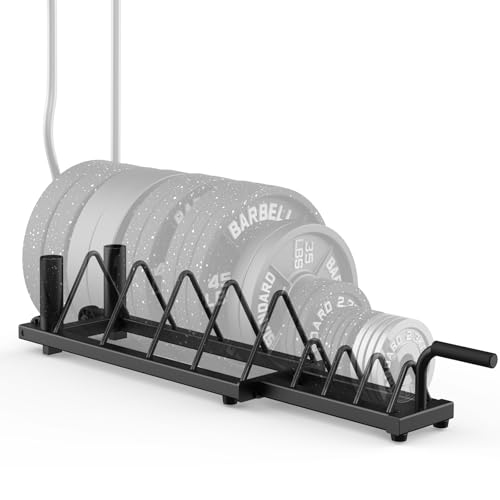 BEKING Horizontal Weight Plates Rack, Weight Rack for Weight Plates & Olympic Bars,Barbell Bumper Plate Holder with Handle and Rolling Wheels,Portable Gym Organizer with Fractional Weight Section for 1-Inch&2-Inch Plates