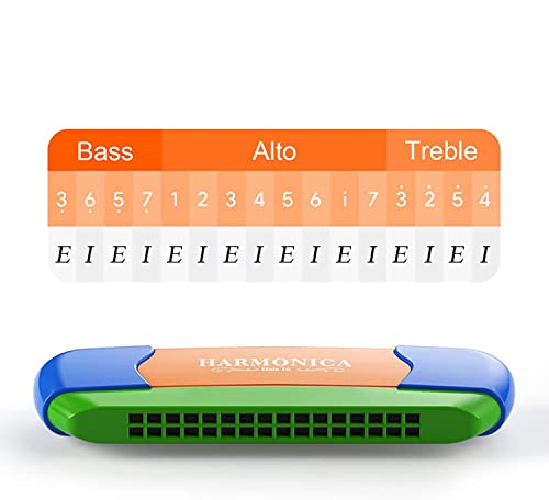 Jadelute Harmonica | Instrument de musique 16 trous pour l’éducation précoce des enfants - Les Beatles, Paul McCartney, John Lennon, RIngo Starr, George Harrison Jadelute Harmonica | Instrument de musique 16 trous pour l'éducation précoce des enfants – Image 5