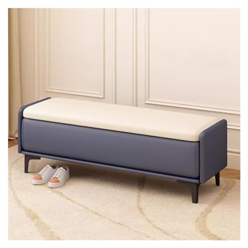 Ottomane mit Stauraum, Liegestuhl und Couchtisch für Wohnzimmer, Flur, Schlafzimmer, stilvolle, gepolsterte Ledertruhe (60 cm)