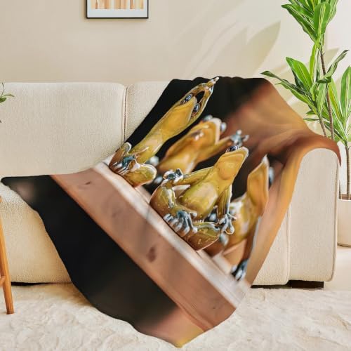 Couverture microfibre originale grenouille yoga, cadeau idéal doux - 3