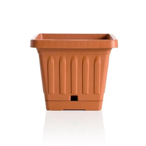 bama Vaso Fioriera Quadrato con Riserva Colore Terracotta 20 x 20 x 16,5 cm