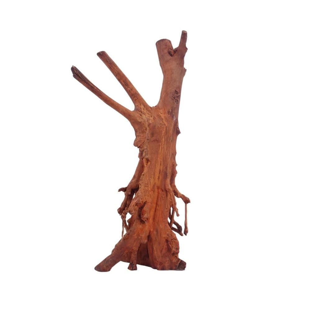 AquaOne Aquarium Wurzel M Jungle Wood Nr.4447 Aquarium Wurzel Holz Deko Aquascaping Dekoration Landschaft Moos Natur Echtholz