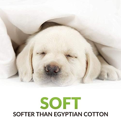 Image of Ivory Cream Bedsheet with 4 Pillow Covers 400TC 100% Egyptian Cotton Premium 5 Piece Bedsheets Super King Size