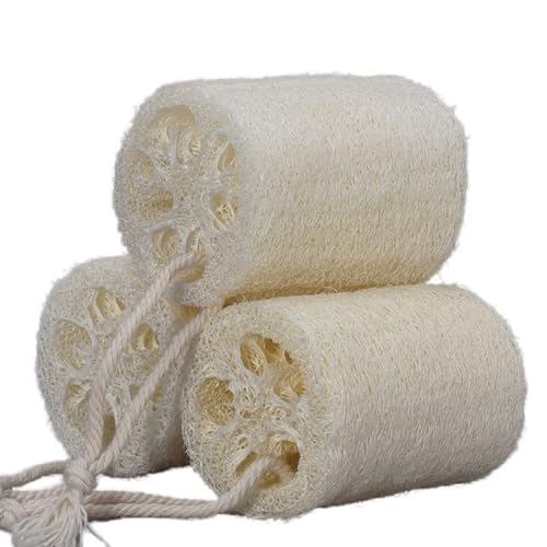 Ginmoto VRw`}(3pbN) p{fBXNo[ w`} V[X|W Y/fB[X V[N[jO Lb`EFA