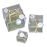 GALPADA 3個 跳躍するクモや小型昆虫用アクリル飼育ケース 透明で耐久性あり 携帯便利な 家やオフィスに 観察しやすい飼育箱