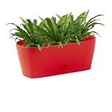Engelland - 1 x Blumenkasten mit Untersetzer, Rot, Balkonkasten, Pflanztopf, 25 cm, Tischdeko, für Garten, Terrasse, Fensterbank, mit Wasserauffangschale, Innen- & Außenbereich, 1,7 Liter