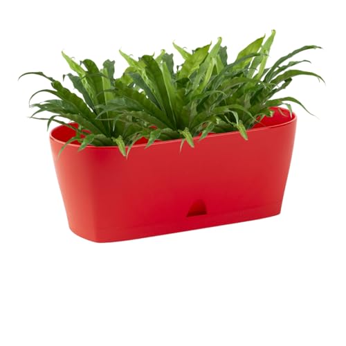 Engelland - 1 x Blumenkasten mit Untersetzer, Rot, Balkonkasten, Pflanztopf, 25 cm, Tischdeko, für Garten, Terrasse, Fensterbank, mit Wasserauffangschale, Innen- & Außenbereich, 1,7 Liter