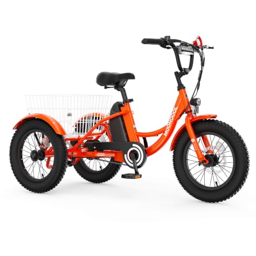 MOONCOOL Youth Electric Tricycle, 16 Inch 250W E-Trike, for Ages 6-12 image 2