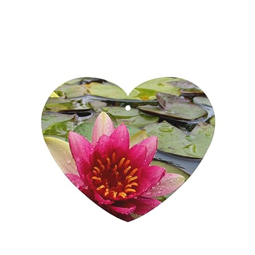 @̉ ԗpF p[\iCYꂽXCX J[A}Zs[^ubg ݂艺F܃J[h [vt 4 ԂƂ̑p