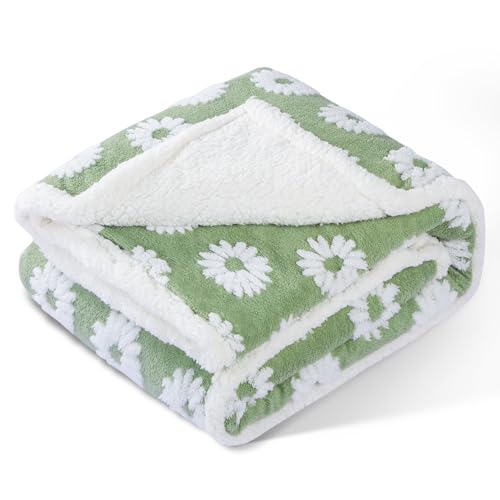 Image of Dog Blanket for Small Medium Large Dogs Fleece Cat Blankets for Indoor Cats Washable Fluffy Pet Bed Blanket Furniture Sofa Couch Cover Protector