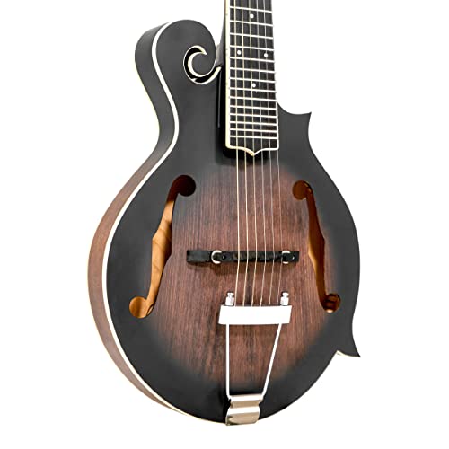 Gold Tone F-6: F-style Mando-Guitarwith Pickup and Hard Foam Case | Manditar tuned EADGBE - Image 3