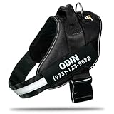 DOGGYKINGDOM Personalized No-Pull Dog Harness with Name Patch, Adjustable, Reflective, Padded, Heavy Duty Pet Vest to Prevent Tugging, Pulling, or Choking, Training and Walking, Black, M