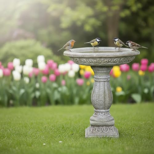 Image of SunJet 23.8 Inch High Concrete Bird Bath with Carved Pedestal - Birdbath Sturdy & Elegant Design, Stone-Like Texture, Attracts Birds and Enhances Garden, Patio, Yard, Lawn Decor