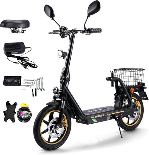 TWOFISH E Scooter mit Straßenzulassung, 48V 13Ah...