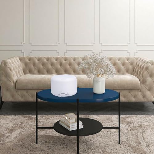 Diffuseur d'huiles essentielles contre l'air sec avec mesure - 5