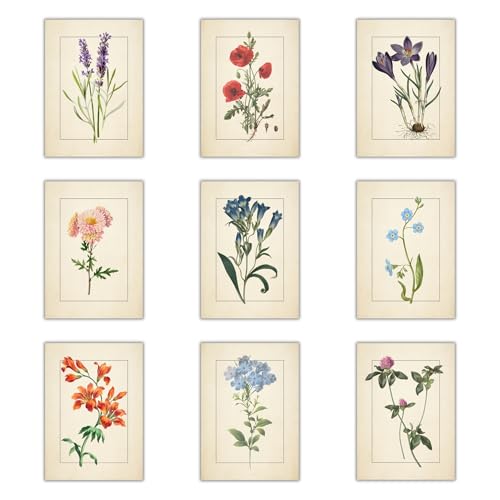 Vintage Flower Wall Art Set of 9 - 8x10 inch Botanical Prints - Antique Floral Illustrations - Retro Garden Artwork - Historical Plant Drawings - Cottage Core Decor - Victorian Flower Posters