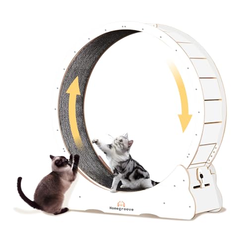 Image of Homegroove Cat Running Wheel, 45 inch Large XL Cat Exercise Wheel Treadmill with Carpeted Runway, Sport Toy for Kitty's Longer Life (XL, White)