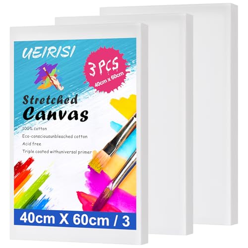 UEIRISI Stretched Canvas for Painting 3 Pack 40x60cm A2 Large Canvas Set 280GSM Acid Free Triple Primed Blank Canvas for Acrylic Oil & Watercolour Painting Beginners & Artists