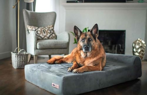 Barker Beds Large Orthopedic Dog Bed - 7" Pillow Top with Headrest - 50-70 lbs - Memory Foam for Joint Pain & Arthritis - Vet Recommended, Washable Cover - Made in USA - 48"x30"x7" - Charcoal - Thumbnail 3