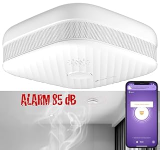 Détecteur de fumée & chaleur connecté RWM-205.duo [VisorTech]