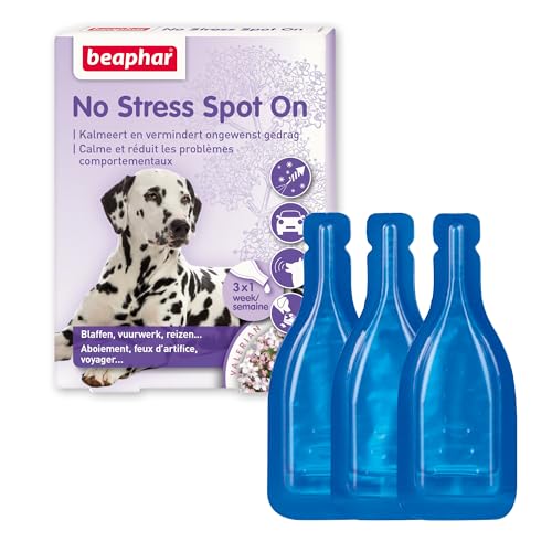 Beaphar 13902 No Stress Spot On Dog 3 Pipetten - Hilft bei stressigen Situationen wie Feuerwerk oder Gewitter - Ohne zu benommen - Mit natürlichen Kräutern - Jede Pipette ist eine Woche lang wirksam
