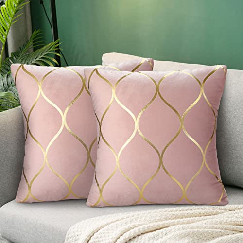 Hanrunsi Fundas Cojines 45x45 Rosa Fundas de Cojín Rosa Oro 45x45 Fundas de Cojines Terciopelo Cojines de Sofá Decorativos Juego de 2 Fundas Cojín Decorativas Suaves Doradas para Sofá Cama de Salón