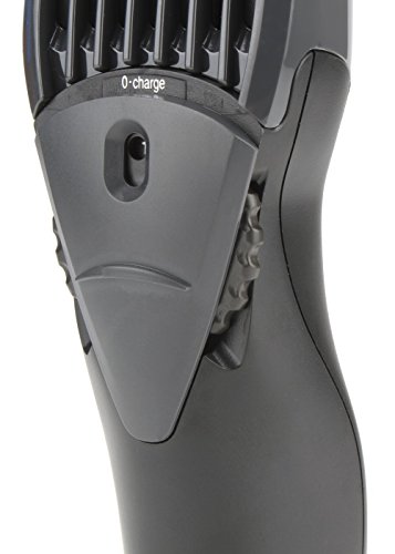 Image of Panasonic ER-207-WK-44B Men's Beard and Hair Trimmer (Black)