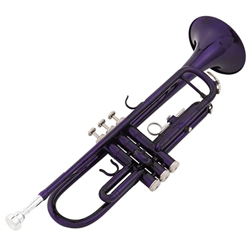 image for Ktaxon Bb Standard Trumpet for Beginners,Trumpet for Student with Hard