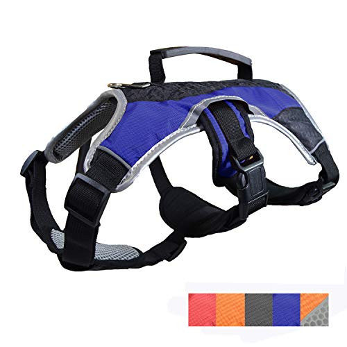 Dog Walking Lifting Carry Harness, Support Mesh Padded Vest, Accessory, Collar, Lightweight, No More Pulling, Tugging or Choking, for Puppies, Small Dogs (Blue, Large), by Downtown Pet Supply