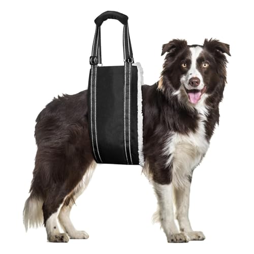 Ganzkörper Tragehilfe, Treppenhilfe, Dog Carrier Hundetrage, Tragegurt, Verstellbarer Hunde Tragehilfe, Hebegeschirr für Hunde mit Bewegungsproblemen