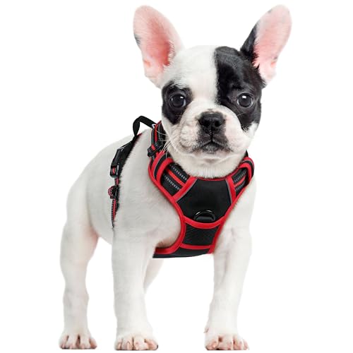 rabbitgoo Hundegeschirr Mittelgroße Hunde, Anti Zug Geschirr mit Kontrolle, No Pull Verstellbar Hundegeschirr Grosse Hunde, Atmungsaktiv Reflexstreifen...