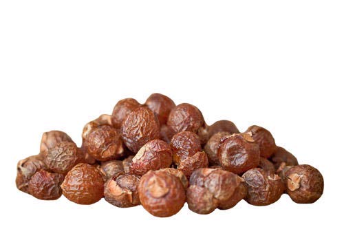 DKM Nuez de jabónRitaSapindusREETHA aritha (100 GMS)