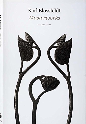 アート・デザイン・音楽 90s Karl Blossfeldt art book アート・デザイン・音楽 90s Karl Blossfeldt art book Karl