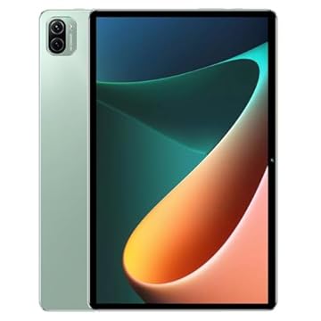 Tablet Pad5 Pro, 2TB, 50GB RAM, Tela Imersiva de 10.1‘’, Câmera Traseira 32MP, Câmera frontal de 16MP, Wifi, Android 13 (Verde) quanshop跟卖狗死全家