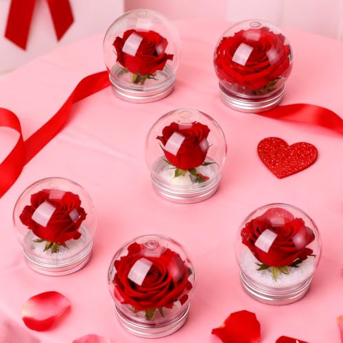 Holibanna 12 Stück 150 Ml DIY-Schneekugel Aus Durchsichtigem Kunststoff Mit Abschraubbarem Deckel Befüllbare Süßigkeitenflasche Leeres Glas Für DIY-Basteln Weihnachtsdekoration