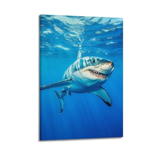 Grand requin blanc cadre pour mur vide tableau mer bleue moderne 20x30