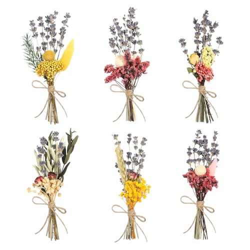 6 Ramos De Flores Secas Flores Secas Naturales Flores Secas Pequeñas Flores Secas para Manualidades Ramilletes Flores Secas Flores Secas Decoracion para Manualidades y Decoración del Hogar (Púrpura)