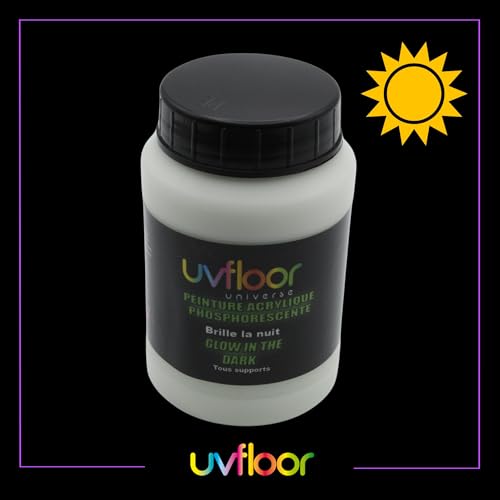 Peinture phosphorescente 250 ml luminescente pour déco