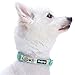 Blueberry Pet Essentials Multicolor Tulip Floral Print Adjustable Dog Collar in Pastel Blue, Small, Neck 12