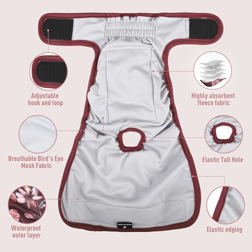 Image of Washable Reusable Female Dog Diapers(5 Pack) Small Medium Large Doggie Puppy & Doggy Dog Diaper, Period Panties in Heat Medium Butterflies and Dragonflies