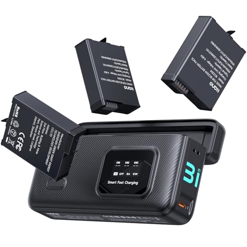 llano AC3 30W Caricabatterie Rapido con Custodia e 3 Batterie da...