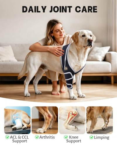 Moysoon Dog Front Leg Brace for Left or Right Leg, Canine Elbow Support Sleeve with Breathable SBR Neoprene&Metal Support Stays,Daily Elbow Protection for Dogs,(Size M) — view 2