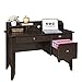 OneSpace Eleanor Executive Desk, Wood-Grain Office Desk with Hutch, Modern Computer Desk, Espresso