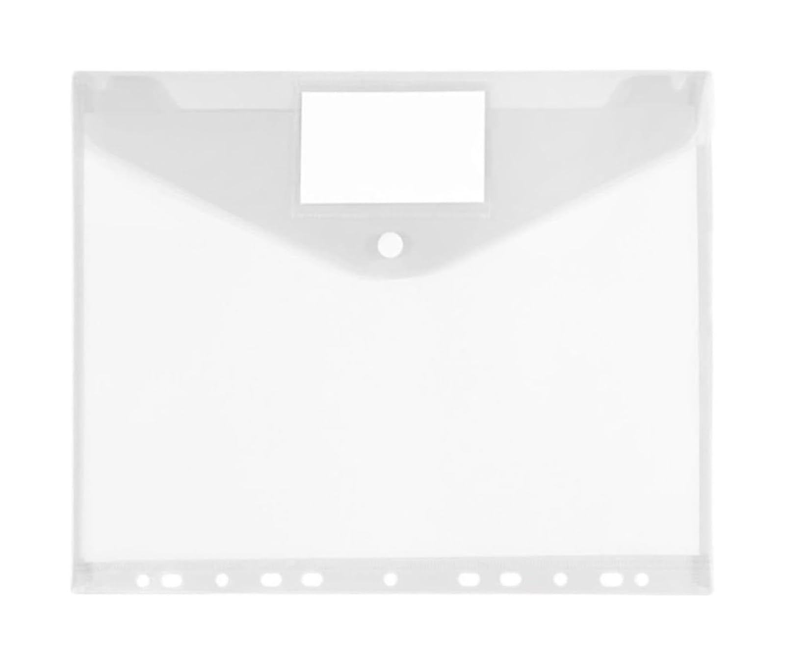 Cartelle portadocumenti trasparenti A4 | Buste espandibili da ufficio, 30 pezzi, 11 fori(Transparent)